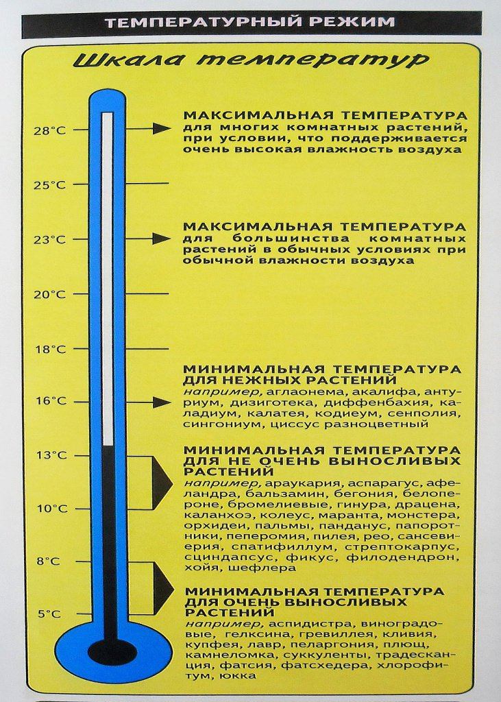 температурный-режим.jpg